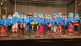 ROZŚWIETLENIE CHOINKI GMINNEJ